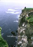 hs002775-01.jpg
maður á bjargbrún, man at a cliffs edge