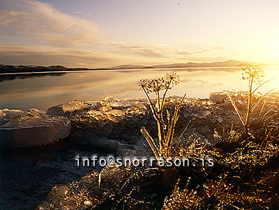 hs007189-01.jpg
Þingvallavatn
winter at lake Thingvellir