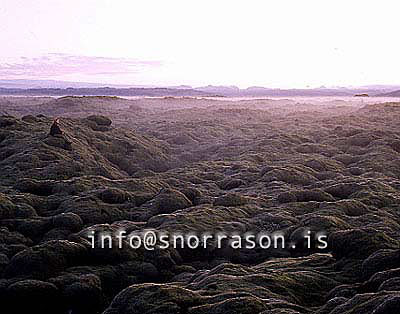 hs006174-01-01.jpg
Eldhraun lava southeast Iceland