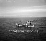 ss01648-01.jpg
King Sol GY 338,  Breskur togari, British trawler