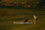 hs020568-01.jpg
Golf