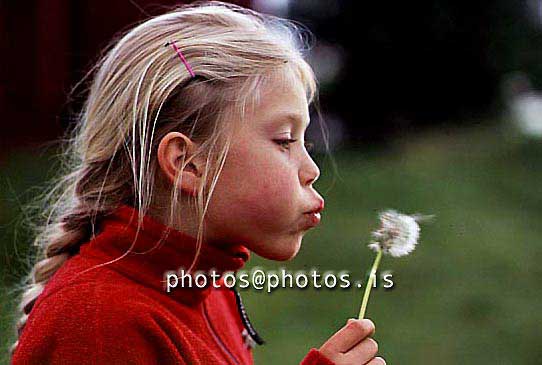 hs018004-01.jpg
stúlka, stelpa, girl