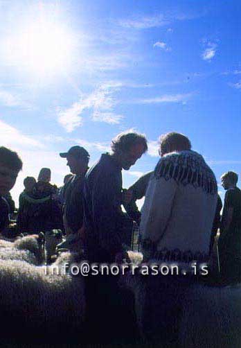 hs014386-01.jpg
bændur, farmers