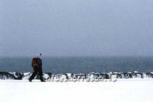 hs013985-01.jpg
maður, snjókoma, man, snowing