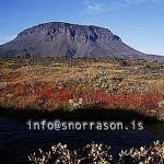 hs011527-01.jpg
haust í Herðubreiðarlindum