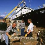 hs006537-01.jpg
Löndun, Hafnarverkamenn, landing,  harbor worksmen