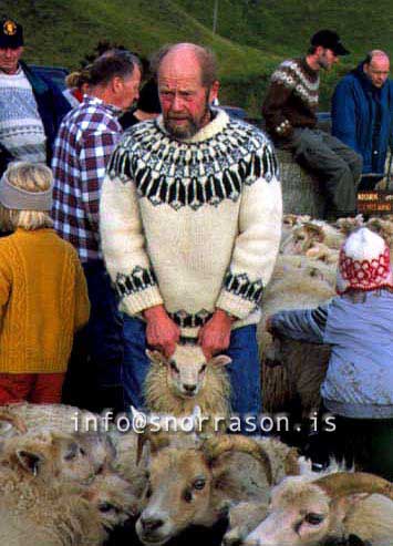 hs014391-01.jpg
réttir, vesturskaftafellsýsla, sheep-gathering, bóndi, farmer