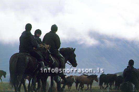 hs014328-01.jpg
í Hjaltadal, Skagafjörður, Laufskálarétt, hestaréttir, 
horse gathering