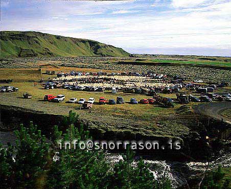 hs014001-01.jpg
réttir, vesturskaftafellsýsla, sheep-gathering, south Iceland, smölun