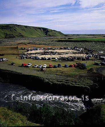 hs014000-01.jpg
réttir, vesturskaftafellsýsla, sheep-gathering, south Iceland, smölun