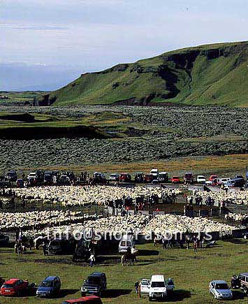 hs013997-01.jpg
réttir, vesturskaftafellsýsla, sheep-gathering, south Iceland, smölun