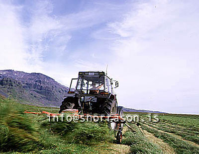 hs008559-01.jpg
heyskapur, hay making