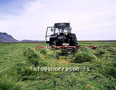 hs008557-01.jpg
heyskapur, hay making