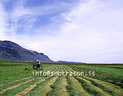 hs008556-01.jpg
heyskapur, hay making