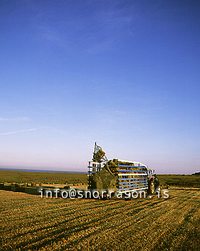 hs006028-01.jpg
heyskapur, hay making