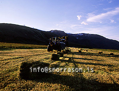 hs006026-01.jpg
heyskapur, hay making