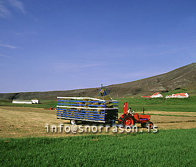 hs000883-01.jpg
Heyskapur,baggar tíndir á heyvagn,  Hnappavellir