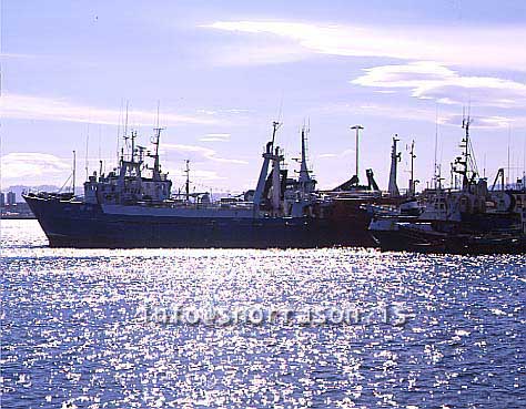 hs012670-01.jpg
Togarar við bryggju, skip við bryggju, ships