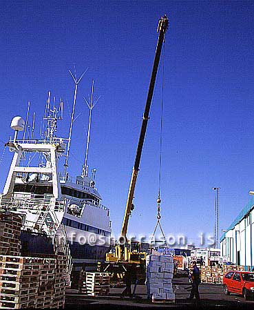 hs012662-01.jpg
Löndun á frystum fiski úr togara, löndun, landing