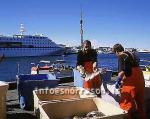 hs011321-01.jpg
Sjómenn, fishermen