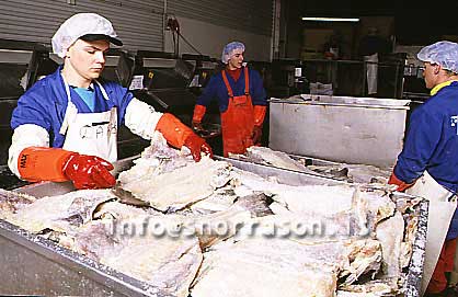 hs009509-01.jpg
Saltfiskvinnsla