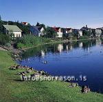 hs009673-01.jpg
Tjarnargata, Tjörnin