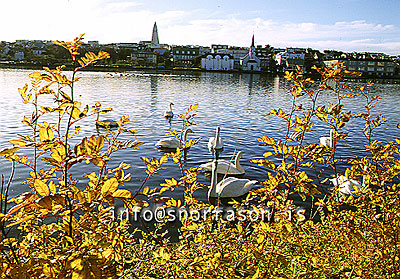 hs007009.jpg-01.jpg
Tjörnin, hauststemmning, authmn in Reykjavik