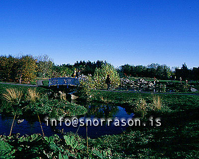 hs002416-01.jpg
Fjölskyldugarðurinn, Laugardalur,  the Famlily park