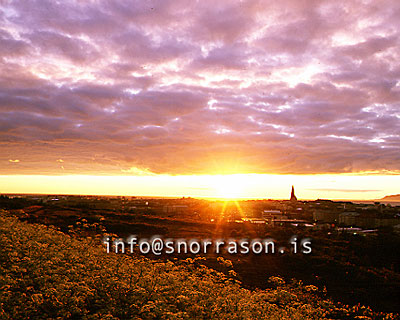 hs000028-01.jpg
Öskjuhlíð, Hallgrímskirkja, kvöldsól, sunset, midnightsun 