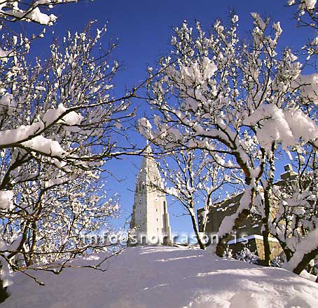 hs007069-01.jpg
Hallgrímskirkja í Reykjavik