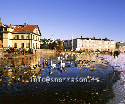 hs005028.jpg
Tjörnin, Tjarnaskóli