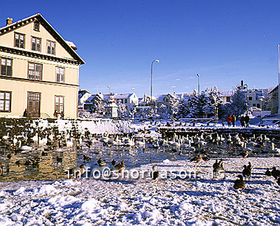 hs004319-01.jpg
Tjörnin og Tjarnarskóli