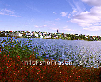 hs002444-01.jpg
Tjörnin