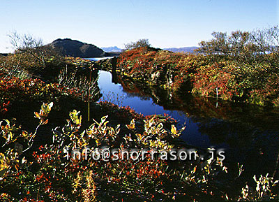 ss003377-01.jpg
Vatnsvík, Þingvöllum