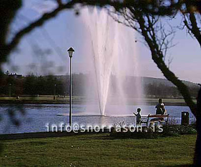 hs011621-01.jpg
gosbrunnnurinn og tjörnin, 
people at the pond