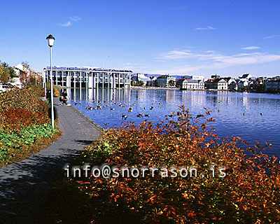 hs002418-01.jpg
Tjörnin, Ráðhúsið