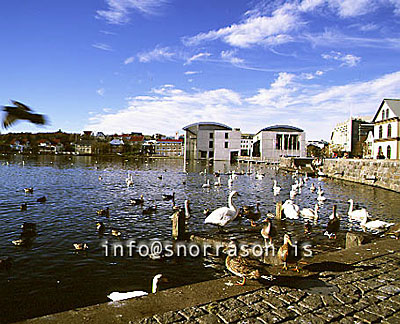 hs000042-01.jpg
Tjörnin
Birds at the pond 