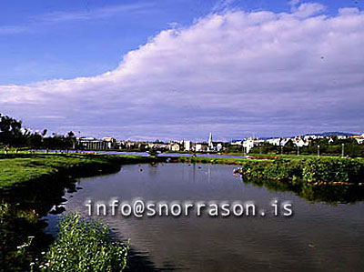 hs000038-01.jpg
Innri tjörnin í Reykjavík, Hljómskálagarður garden