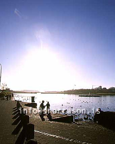 hs011641-01.jpg
Við tjörnina
the pond in the city center