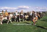 hs009559-01.jpg
víkingar í Hafnarfirði, vikings in Hafnarfjordur