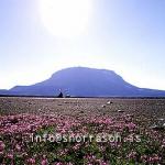 hs005842-01.jpg
The queen of Icelandic mountains, Herdubreid