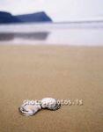 hs015438-01.jpg
Skeljar, shells