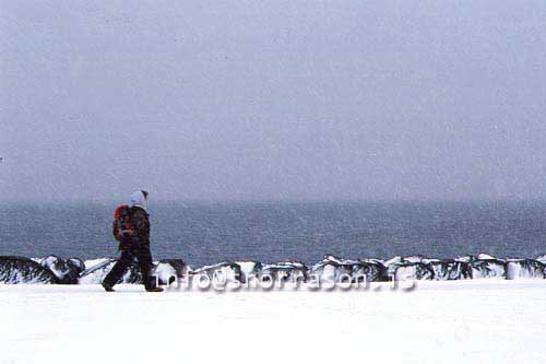 hs013985-01.jpg
kona á göngu, sjókoma, man walking in snow