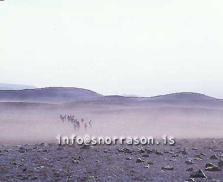 hs013676-01.jpg
göngufólk á hálendinu, hikers crossing a black sand desert