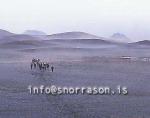 hs013675-01.jpg
göngufólk á hálendinu, hikers crossing a black sand desert