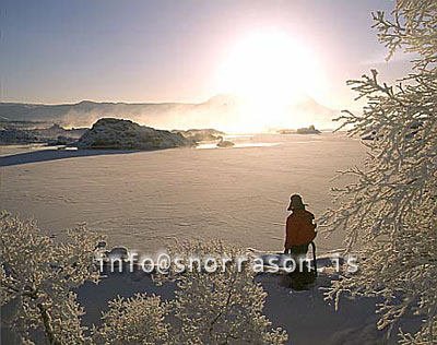 hs012146-01.jpg
maður í vetrar ríki , man in a land of snow
frosty day in Mývatn