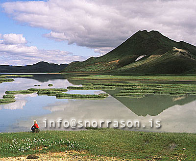 hs009494-01.jpg
stilla á heiðarvatni, reflections on a lake