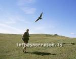 hs008529-01.jpg
maður og skúmur, arctic skua