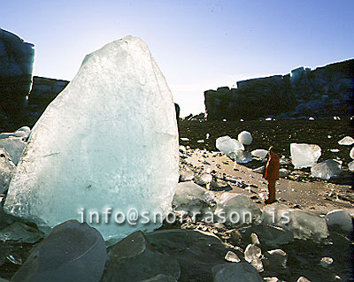 hs000890-01.jpg
maður virðir fyrir sér ísjaka, man watching a iceberg
Iceberg broken off from Skeidarrárjökull glaceir