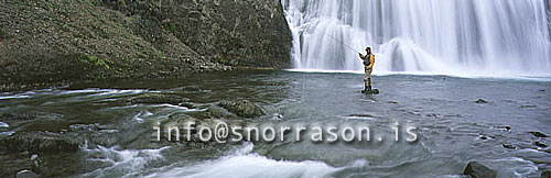 hs009275-01.jpg
Laxá í Kjós, Þórufoss, famous salmon river